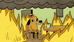 Le chien assis dans une pièce en flammes qui déclare que tout va bien